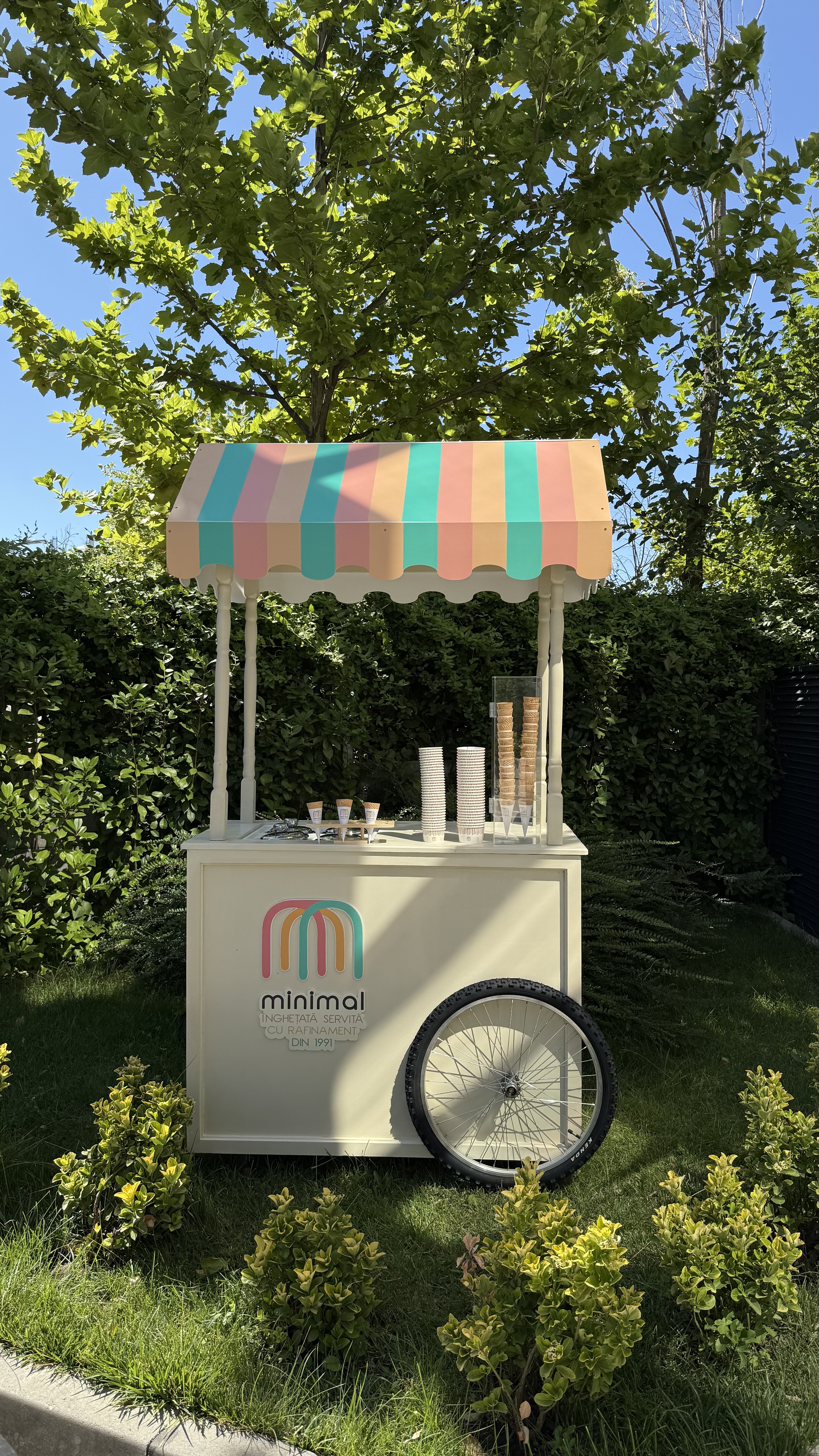 Ice Cream Bar